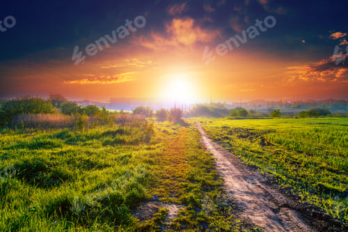 Preview: Green Field And Beautiful Sunset