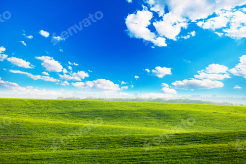 Preview: Green Field And Beautiful Sunset