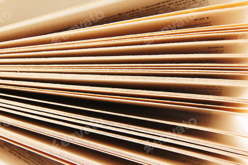 Preview: Pages From The Book. A Close Up.