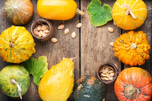 Preview: Big Set Of Autumn Pumpkins On Old Wooden Table.Autumn Composition