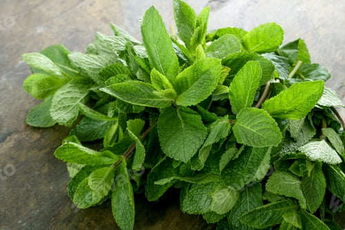 Preview: Preparing Fresh Mint Herb