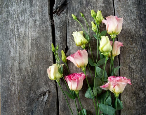 Preview: Eustoma Flowers On Wooden Surface
