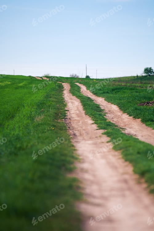 Preview: Beatiful Morning Green Field With Blue Heaven
