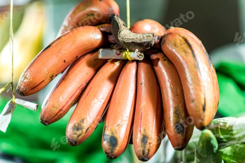 Preview: Bunch Of Red Bananas Hanging At The Market. Tropical Fruits, Organic Bananas Rich In Vitamins