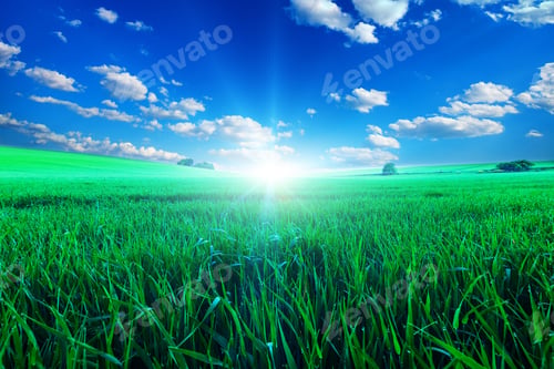 Preview: Green Field And Beautiful Sunset