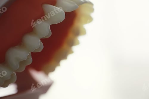 Preview: Dentist'S Office. Dentist Examines The Oral Cavity Treatment. The Doctor Shows A Course Of