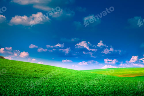 Preview: Green Field And Beautiful Sunset