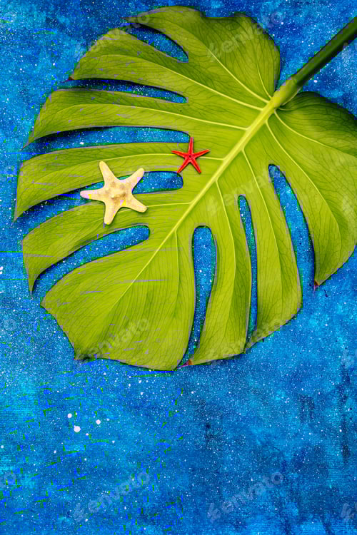 Preview: Travel And Vacation Concept. Summer 2020 Background With Monstera Leaf, Seashells And Marine