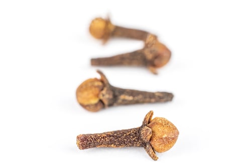 Preview: Group Of Four Whole Dry Brown Clove Isolated On White Background