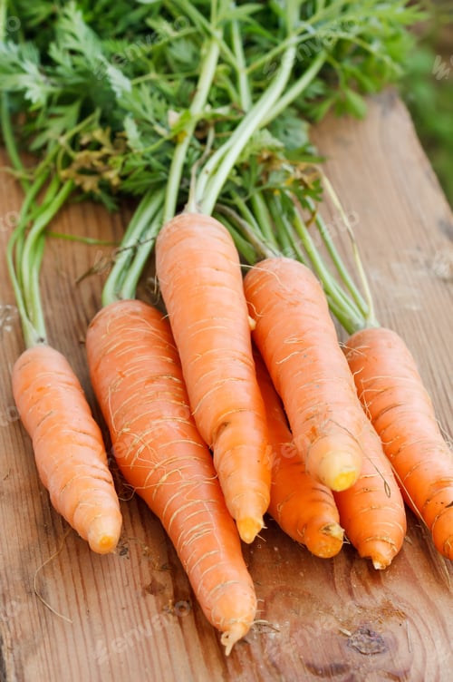 Preview: Fresh Organic Carrots