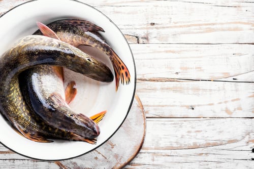 Preview: Two Raw Pike With Spices In A Bowl.Raw Fish With Spices For Cooking.