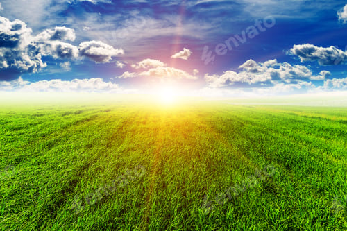 Preview: Green Field And Beautiful Sunset