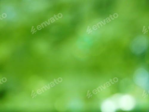 Preview: Abstract Nature Spring Background Blurred Green Yellow Leaves