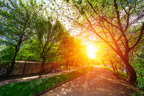 Preview: Beautiful Avenue In To The Park