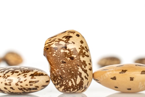 Preview: Group Of Three Whole Dried Speckled Brown Bean Pinto Isolated On White Background