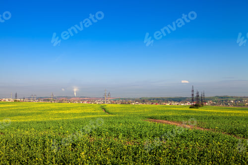 Preview: Beautiful Morning Green Field With Blue Heaven
