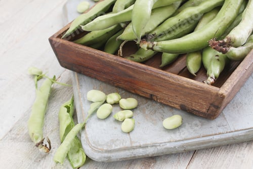 Preview: Preparing Fresh Broad Beans