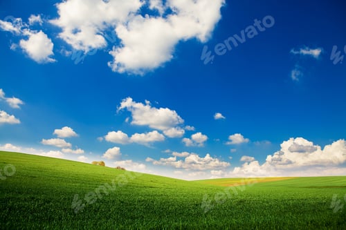 Preview: Green Grass Under Blue Sky