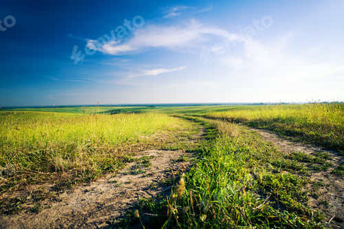 Preview: Green Grass Under Blue Sky