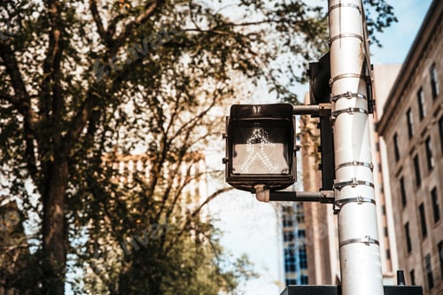 Preview: Traffic Lights On A Pole In Canada. Traffic Signals For Pedestrians Crossing. Zebra Crossing