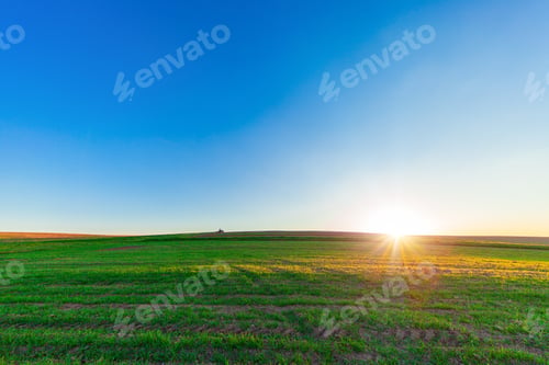 Preview: Beautiful Morning Green Field With Blue Heaven