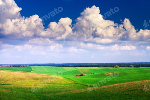 Preview: Green Grass Under Blue Sky