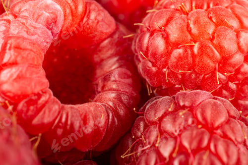 Preview: Closeup Of Lot Of Whole Fresh Red Raspberry Isolated