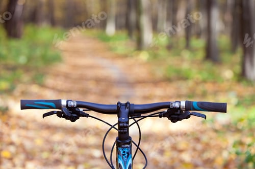 Preview: Mountain Biking Down Hill Descending Fast On Bicycle. View From Bikers Eyes.