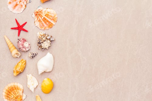 Preview: Seashells Summer Background. Lots Of Different Seashells Piled Together. For Card, Frame, Flat Lay