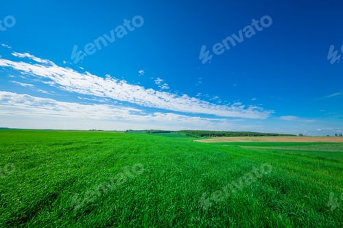 Preview: Green Field And Beautiful Sunset