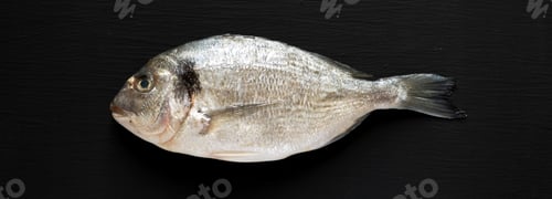 Preview: Fresh Dorado Fish On Black Background, Overhead View. Flat Lay, From Above, Top View.