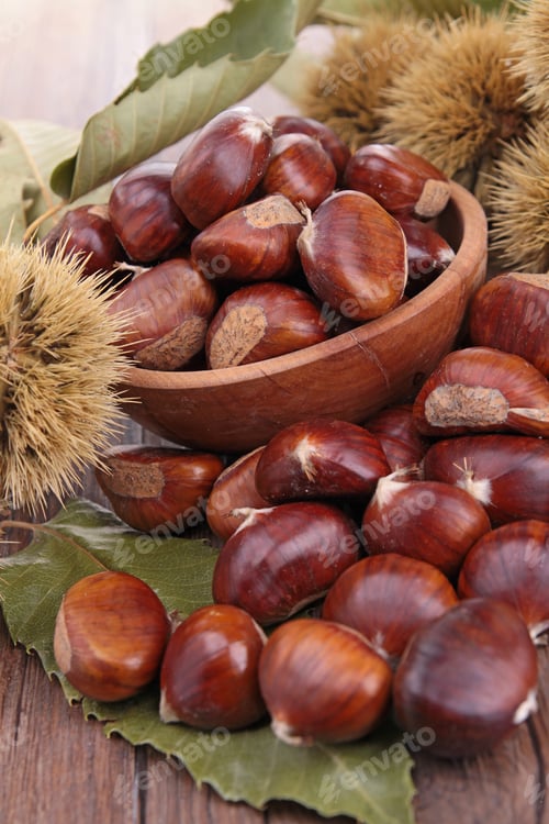 Preview: Chestnut