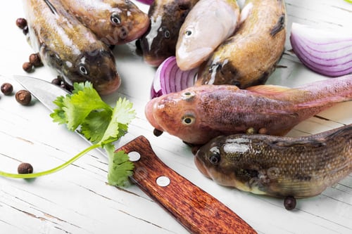 Preview: Fresh Sea Fish In On Cutting Board On The Kitchen Table