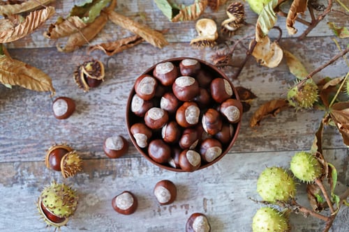 Preview: Chestnuts In A Bowl. Chestnut Leaves. Autumn Composition With Chestnuts.