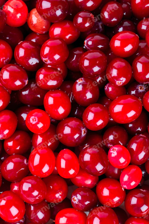 Bright Red Cranberries Close-Up for Culinary Use