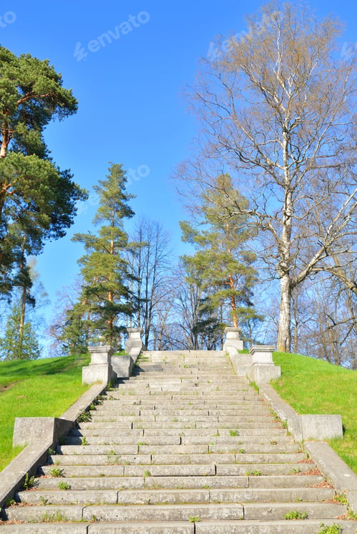 Preview: Trellis Ladder In Mariental Park In Pavlovsk On The Outskirts Of St. Petersburg, Russia.