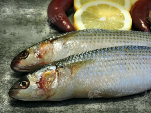 Preview: Mullet Lemon Garlic.