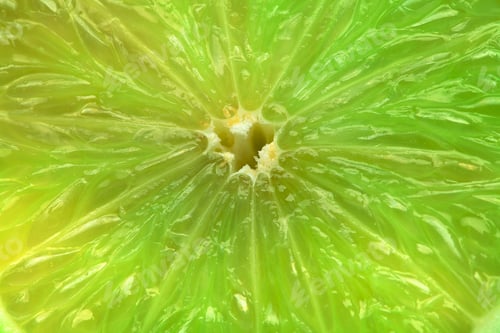 Preview: Lime Slices