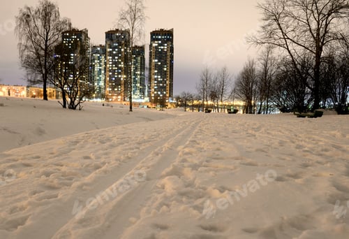Preview: Park At Winter Night On The Outskirts Of St. Petersburg, Russia.