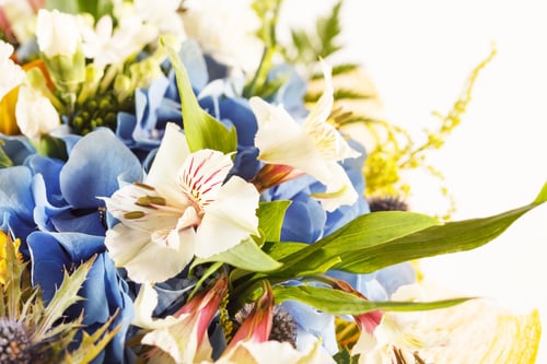 Preview: Nice Flowers