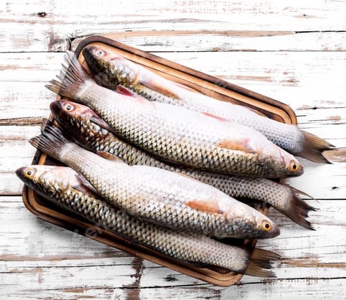 Preview: Fresh Raw Fish On Wooden Cutting Board.Healthy Eating Concept