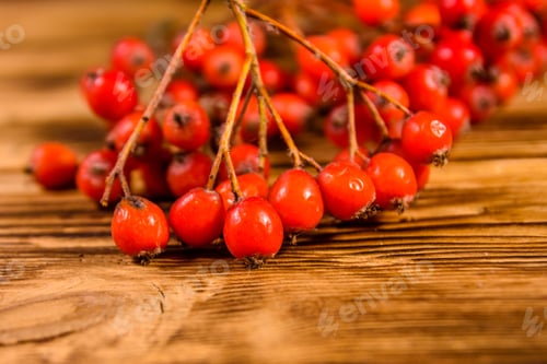 Preview: Red Berries on a Wooden Background Still Life