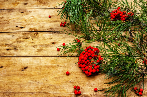 Preview: Festive Pine Branches with Red Berries on Wood