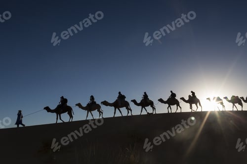 Preview: Camel Caravan Going Through The Desert