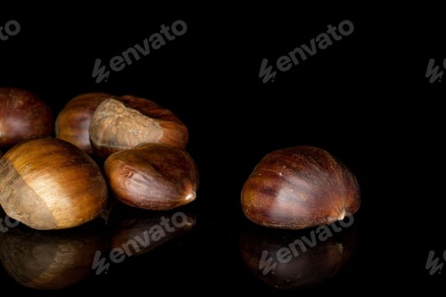 Preview: Group Of Six Whole Arranged Edible Brown Chestnut Isolated On Black Glass