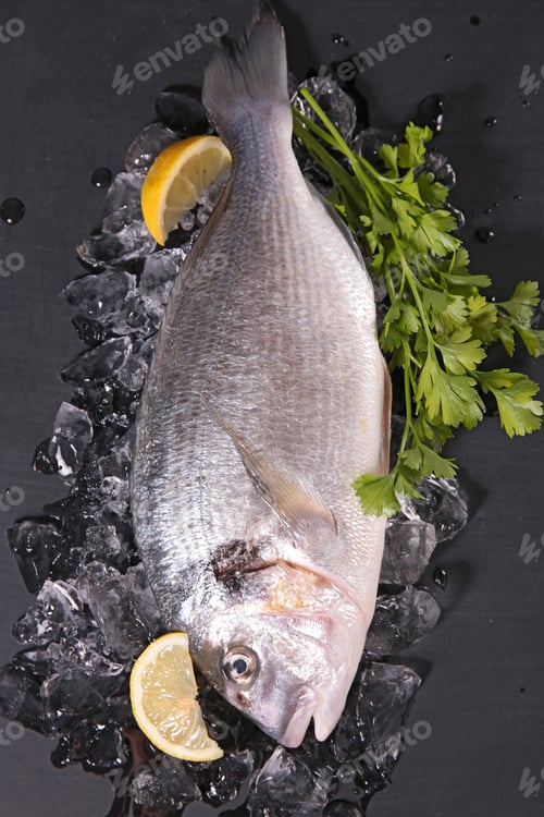 Preview: Raw Fish