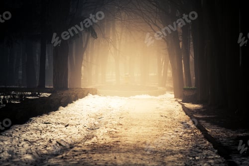 Preview: Fog On A Way