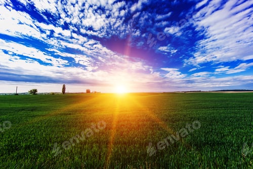 Preview: Green Field And Beautiful Sunset