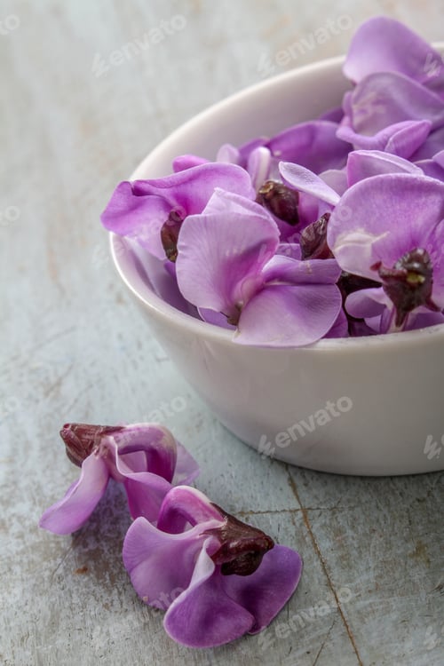 Preview: Edible Bean Blossom