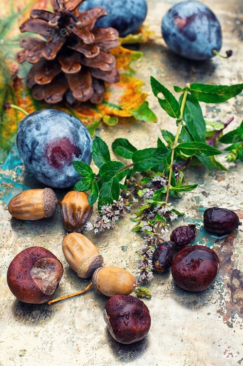 Preview: Empty Autumn Pinecone,Acorns And Chestnuts On Metal Surface